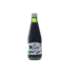 Bio Food Feketeberkenyelé bio - 300ml