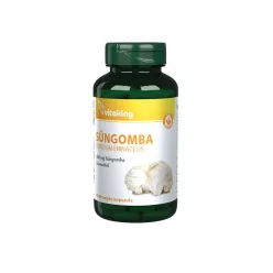 Vitaking Süngomba 500mg - 60db