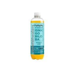 Viwa Ginkgo Biloba zöld vitamintea - 600ml