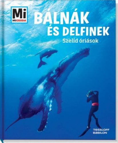 Martin Kaluza - Bálnák és delfinek