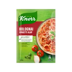 Knorr alap Bolognai Spagetti 59g