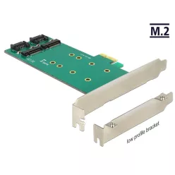   DeLock PCI Express Card > 2x internal M.2 Key B 110 mm - Low Profile Form Factor