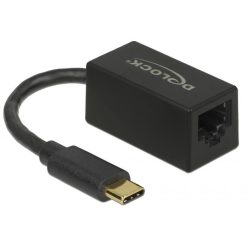   DeLock SuperSpeed USB (USB 3.2 Gen 1) with USB Type-C male > Gigabit LAN 10/100/1000 Mbps compact Adatper Black
