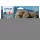 Epson T2428 (24) Multipack tintapatron