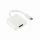 SBOX HDMI Female-> TYPE-C Male Adapter White