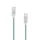 SBOX Type-C to Type-C 60W Charge and sync cable 1m Green