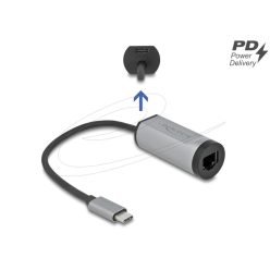  DeLock USB Type-C Adapter to Gigabit LAN with Power Delivery port Grey