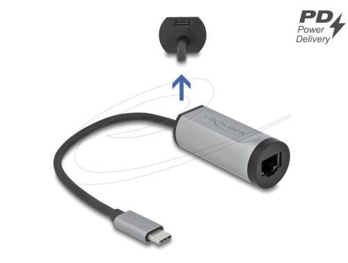 DeLock USB Type-C Adapter to Gigabit LAN with Power Delivery port Grey