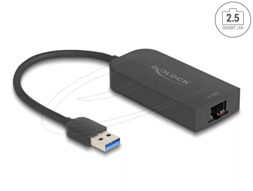 DeLock 2,5 Gigabit LAN USB Adapter
