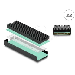 DeLock Heat Sink for M.2 SSD 2280 Black