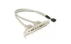 DeLock Slot bracket 2 x USB 2.0 type A female external