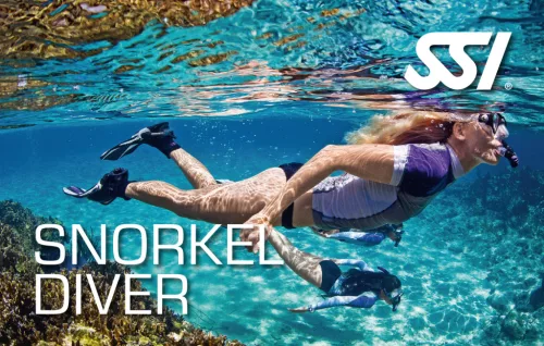 SSI Snorkel tanfolyam - Snorkel Diver
