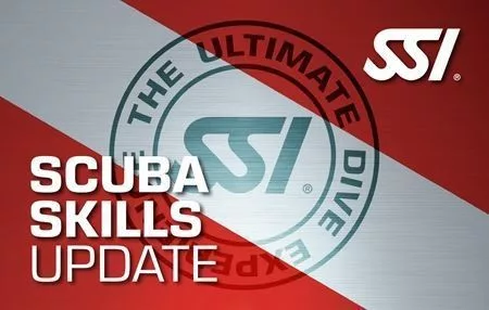 SSI Tudásfrissítés - Skills Update