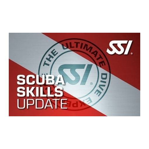 SSI Tudásfrissítés - Skills Update