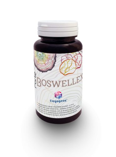 Freyagena forte boswellex kapszula 60 db