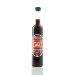   Bálint csemegék csipkebogyó szőlő gyümölcsesszencia 500 ml