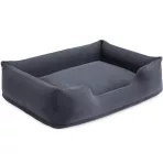 Kisállat