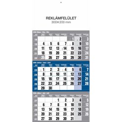   Falinaptár speditőr 1 tömbös 12 lapos 300mmx480mm, üres fejlappal kék Realsystem 2026.