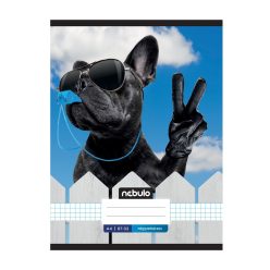   Füzet, A4, kockás, 87-32, Xtreme minták, 12 db/csomag Nebulo