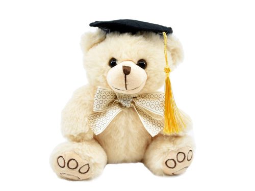 Ballagós maci 2f 20cm/ BI671289