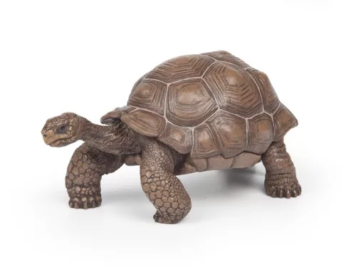 Papo: Galapagosi teknős