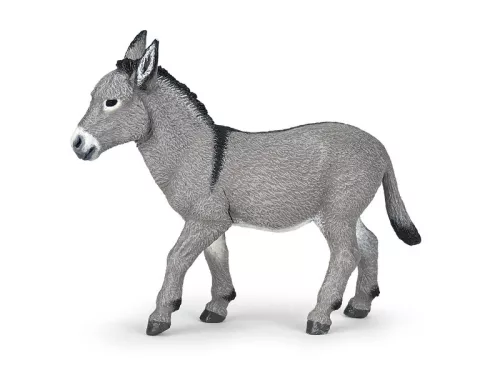 Papo: Provencei szamár