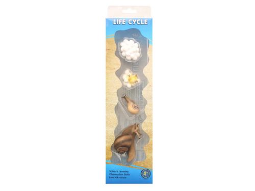 Az élet körforgása - csiga