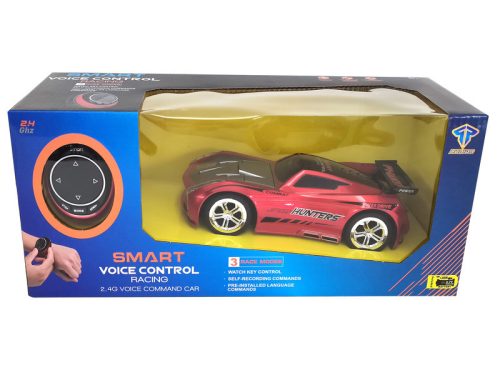 Hang irányítású autó