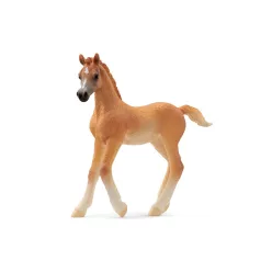 Schleich Arab csikó