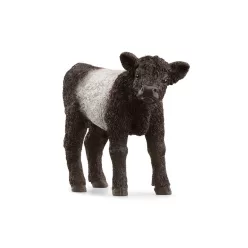 Schleich Galloway borjú