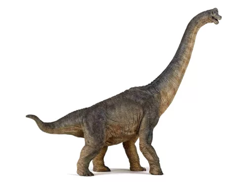 Papo brachiosaurus dínó 55030