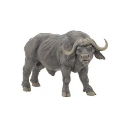 Papo: Afrikai bölény