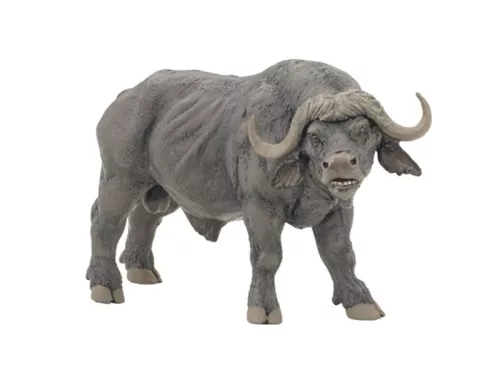 Papo: Afrikai bölény