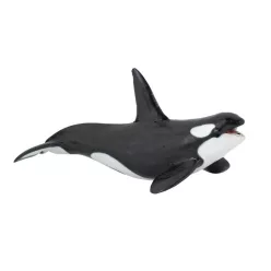 Papo gyilkos bálna 56000