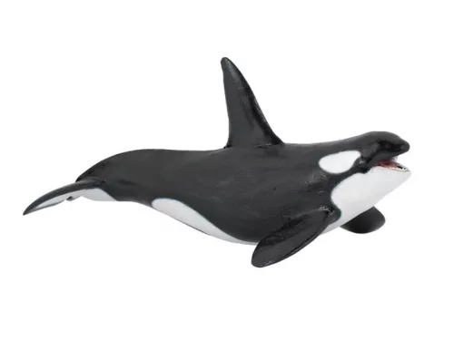 Papo gyilkos bálna 56000