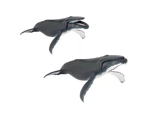 Papo hosszúszárnyú bálna 56001