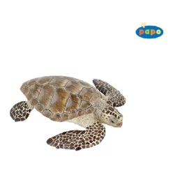 Papo tengeri teknős 56005