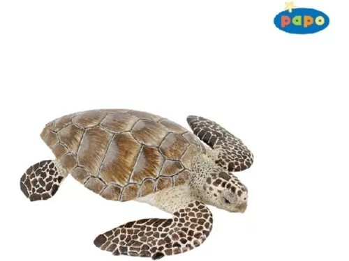 Papo tengeri teknős 56005