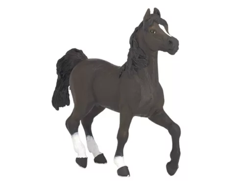 Papo arab telivér 51505