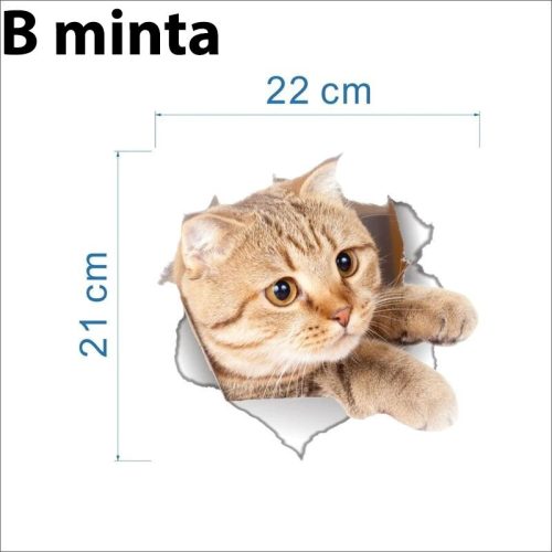 3D Cica Matrica - - B minta