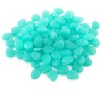 Hal- és Hüllőtartás