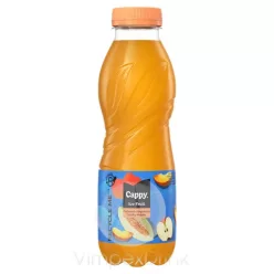 COCA Cappy Ice Őszi-Dinnye 0,5l PET-DRS