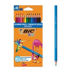 BIC Színesceruza 12