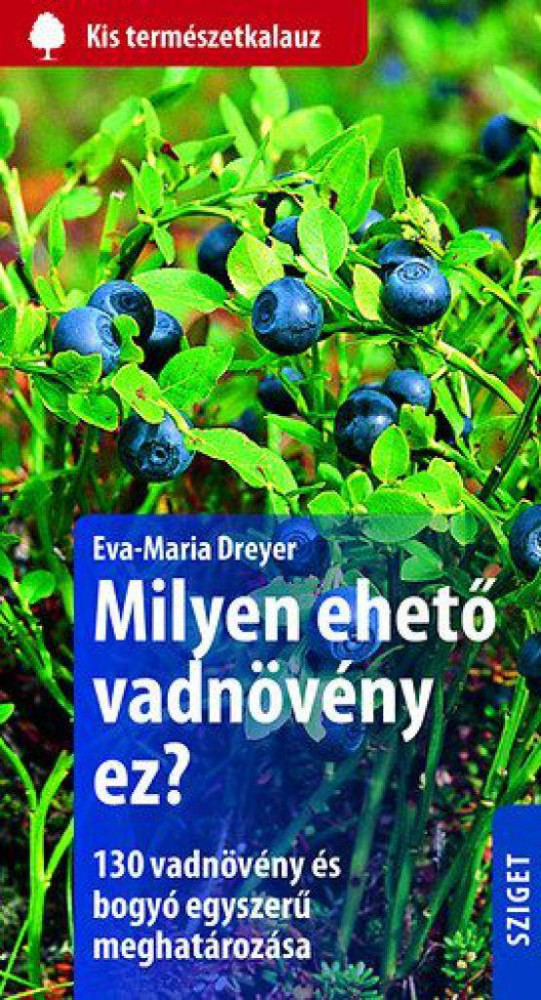 Eva-Maria Dreyer - Milyen ehető vadnövény ez?